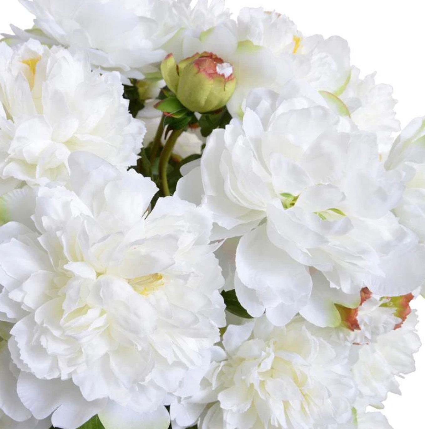Large Peony Bouquet - White