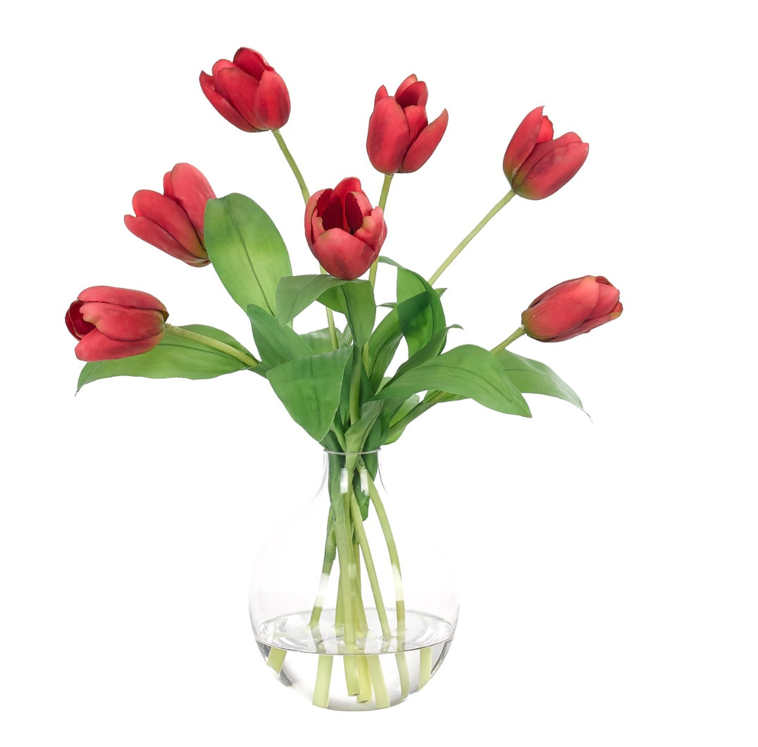 Tulip, Red, in Glass Bulb Vase Faux Watergarden