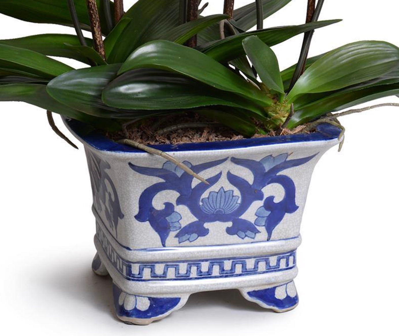Orchid x5 in Ceramic Vase - White
