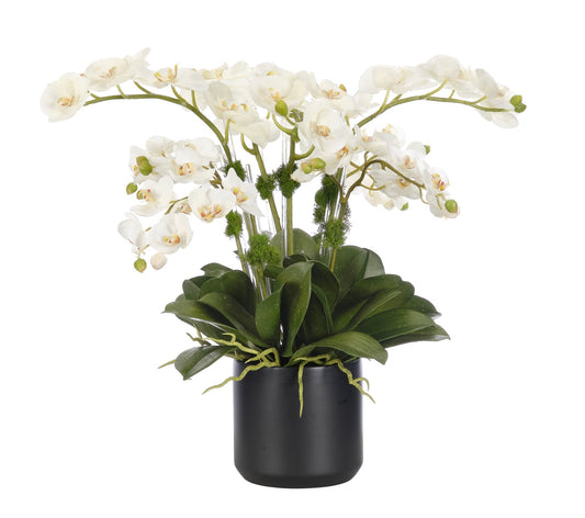 Orchid Phalaenopsis, Cream White Ceramic Bowl, Faux Arrangement, 23″
