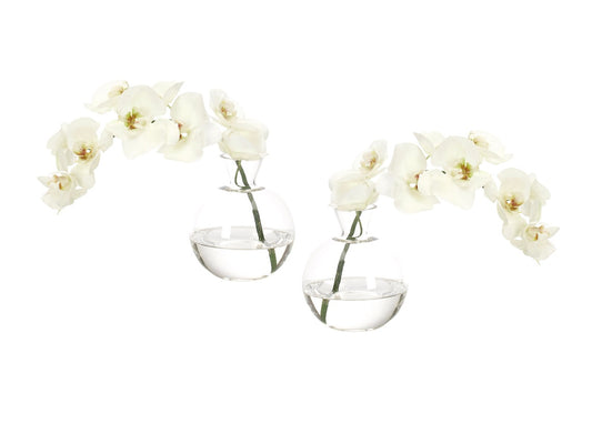 Orchid Phalaenopsis, White, in Glass Bubble Set of 2, Faux Watergarden, 11″
