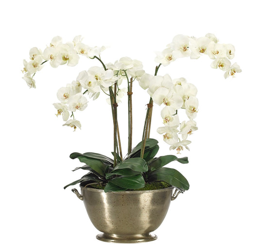 Orchid Phalaenopsis, White, Pewter Urn Faux Arrangement, 29″
