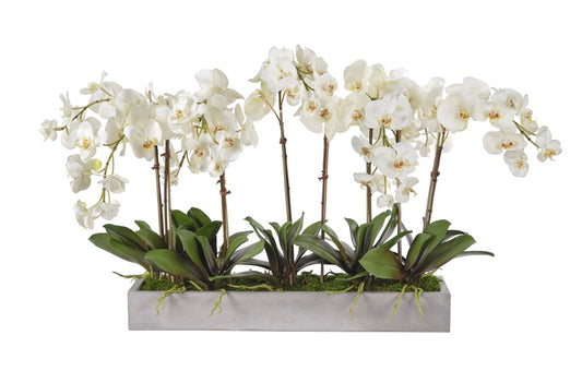 Orchid Phalaenopsis, Cream White, Concrete Planter Faux Arrangement, 28″