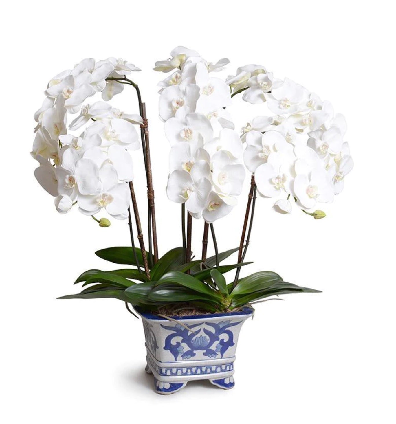 Orchid x5 in Ceramic Vase - White