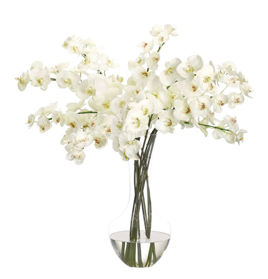 Orchid Phalaenopsis, Cream White, in Glass Vase Faux Watergarden, 35″